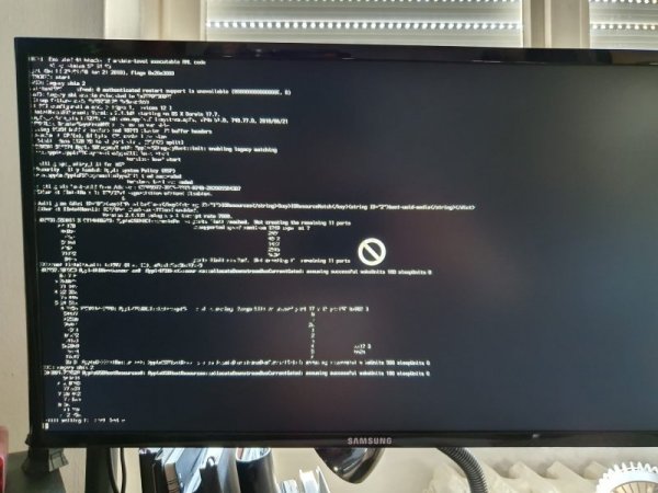 439bd6c5-9e21-49a3-b021-3243e509f8fc.jpg