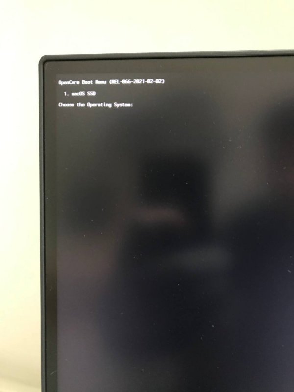 2021-02-21 12.29.52.jpg