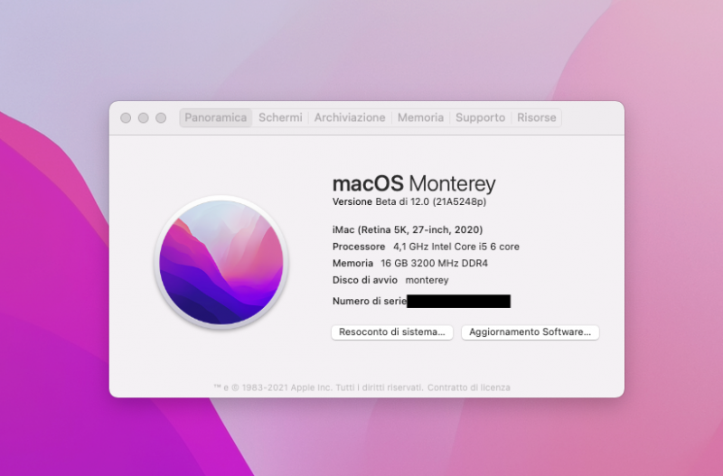 Schermata 2021-06-13 alle 11.16.30 copia.png