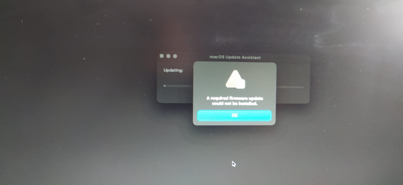 WhatsApp Image 2022-06-08 at 16.26.24 copia.png