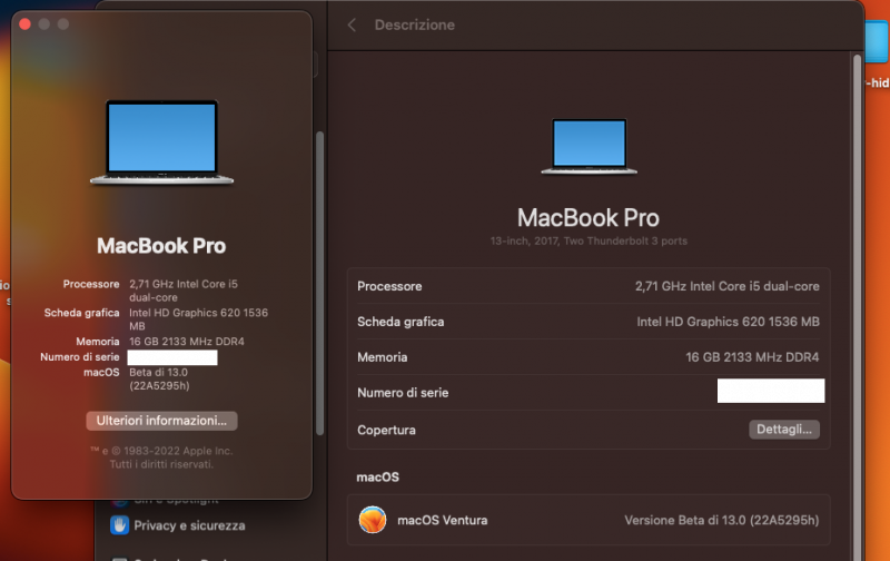 Screenshot 2022-07-07 alle 13.14.51.png