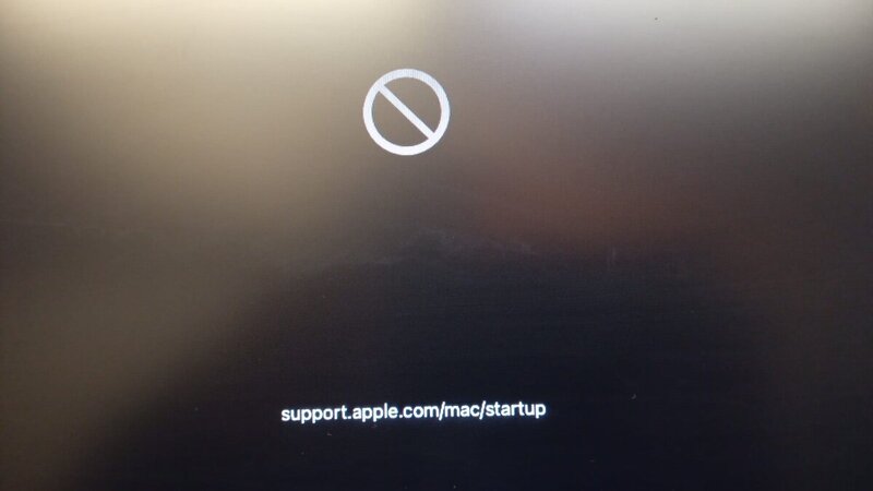 Image 2024-10-05 (1).jpg