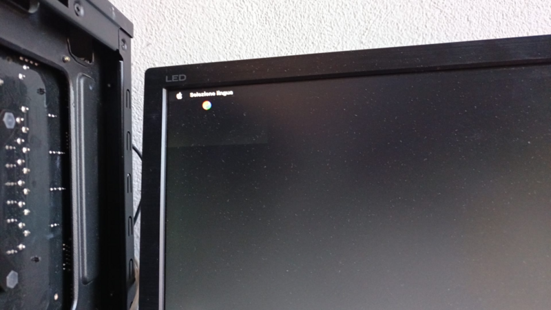 1 WhatsApp Image 2024-11-04 at 10.33.56 .png