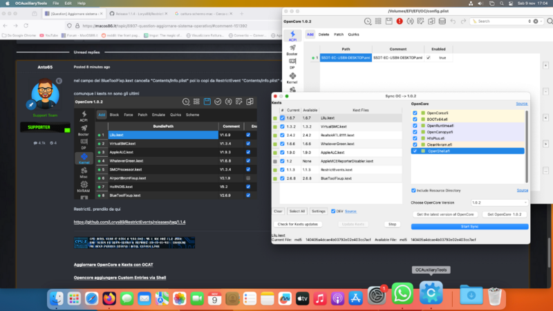 Screenshot 2024-11-09 alle 17.04.35.png