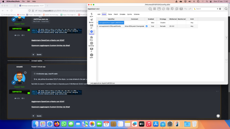 Screenshot 2024-11-17 alle 11.42.17.png
