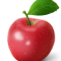 Perdu